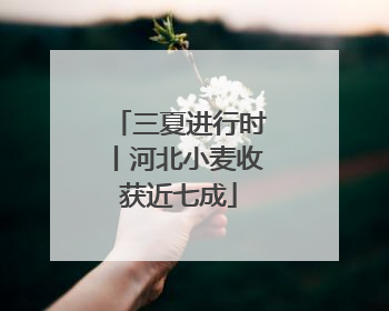 三夏进行时丨河北小麦收获近七成