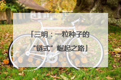 三明：一粒种子的“链式”崛起之路