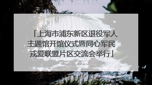 上海市浦东新区退役军人主题馆开馆仪式暨同心军民戎爱联盟片区交流会举行