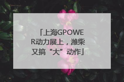 上海GPOWER动力展上，潍柴又搞“大”动作