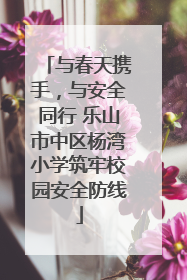 与春天携手，与安全同行 乐山市中区杨湾小学筑牢校园安全防线