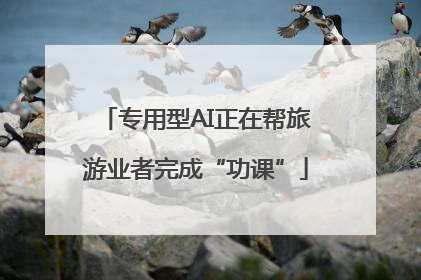 专用型AI正在帮旅游业者完成“功课”
