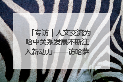 专访｜人文交流为哈中关系发展不断注入新动力——访哈萨克斯坦文化与信息部部长巴拉耶娃