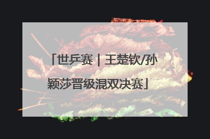 世乒赛｜王楚钦/孙颖莎晋级混双决赛