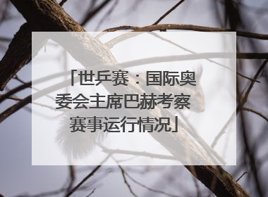 世乒赛：国际奥委会主席巴赫考察赛事运行情况