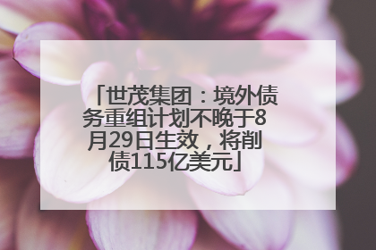 世茂集团：境外债务重组计划不晚于8月29日生效，将削债115亿美元