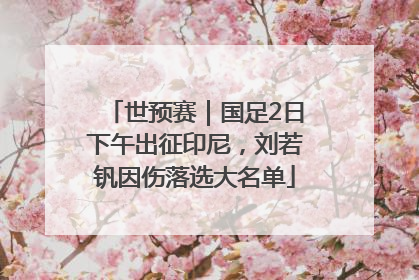 世预赛｜国足2日下午出征印尼，刘若钒因伤落选大名单