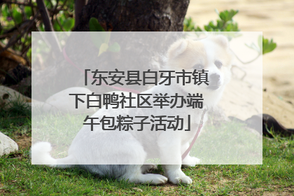 东安县白牙市镇下白鸭社区举办端午包粽子活动