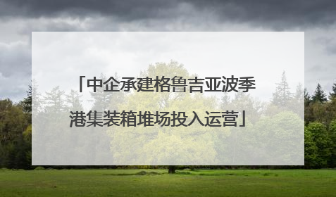 中企承建格鲁吉亚波季港集装箱堆场投入运营
