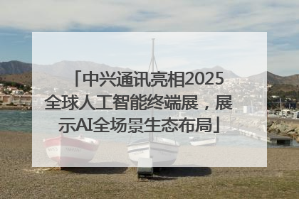 中兴通讯亮相2025全球人工智能终端展，展示AI全场景生态布局