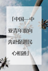 中国—中亚青年双向奔赴促进民心相通