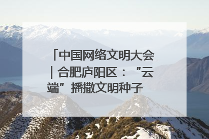 中国网络文明大会｜合肥庐阳区：“云端”播撒文明种子 共建清朗网络空间