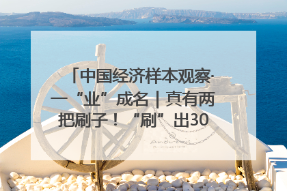 中国经济样本观察·一“业”成名｜真有两把刷子！“刷”出30亿级“颜值经济”