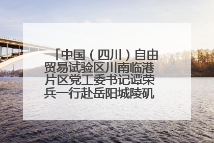 中国（四川）自由贸易试验区川南临港片区党工委书记谭荣兵一行赴岳阳城陵矶综保区考察