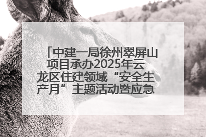 中建一局徐州翠屏山项目承办2025年云龙区住建领域“安全生产月”主题活动暨应急救援演练观摩会