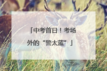 中考首日！考场外的“警太蓝”