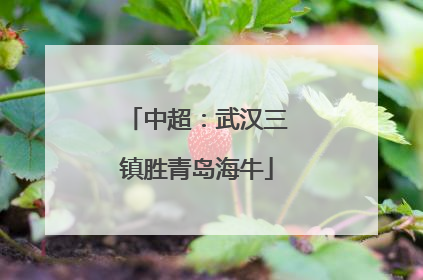 中超：武汉三镇胜青岛海牛
