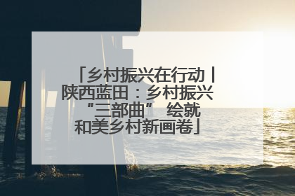乡村振兴在行动丨陕西蓝田：乡村振兴 “三部曲” 绘就和美乡村新画卷