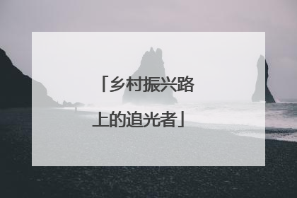 乡村振兴路上的追光者