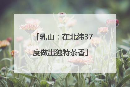 乳山：在北纬37度做出独特茶香
