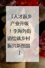 人才返乡 产业升级！李海务街道绘就乡村振兴新图景