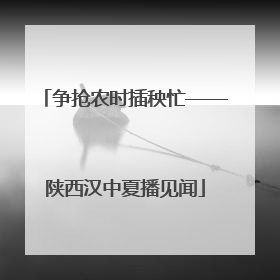争抢农时插秧忙——陕西汉中夏播见闻
