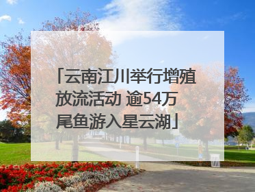 云南江川举行增殖放流活动 逾54万尾鱼游入星云湖