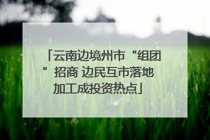 云南边境州市“组团”招商 边民互市落地加工成投资热点
