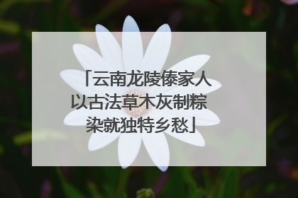 云南龙陵傣家人以古法草木灰制粽 染就独特乡愁