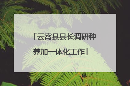 云霄县县长调研种养加一体化工作