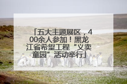 五大主题展区，400余人参加！黑龙江省希望工程“义卖童园”活动举行