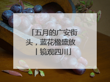 五月的广安街头，蓝花楹盛放丨镜观四川
