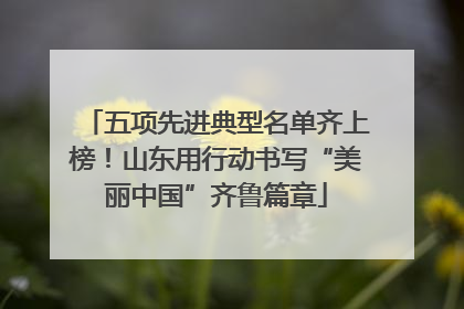 五项先进典型名单齐上榜！山东用行动书写“美丽中国”齐鲁篇章