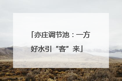 亦庄调节池：一方好水引“客”来