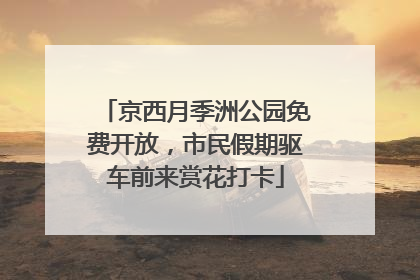 京西月季洲公园免费开放，市民假期驱车前来赏花打卡