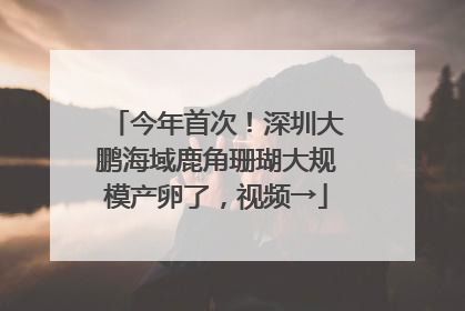 今年首次！深圳大鹏海域鹿角珊瑚大规模产卵了，视频→
