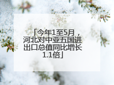 今年1至5月，河北对中亚五国进出口总值同比增长1.1倍