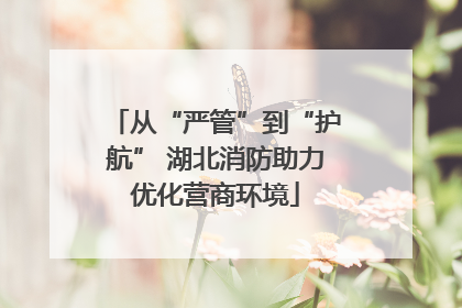 从“严管”到“护航” 湖北消防助力优化营商环境