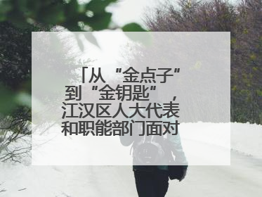 从“金点子”到“金钥匙”，江汉区人大代表和职能部门面对面解企业难题
