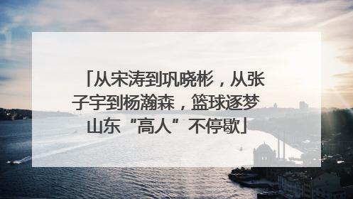 从宋涛到巩晓彬，从张子宇到杨瀚森，篮球逐梦山东“高人”不停歇
