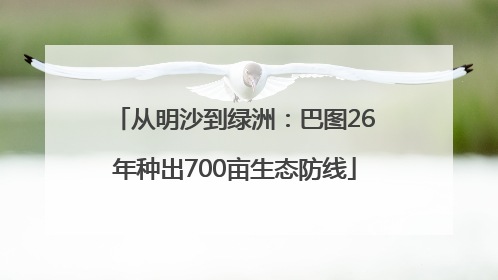 从明沙到绿洲：巴图26年种出700亩生态防线