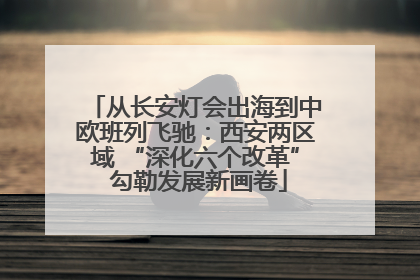 从长安灯会出海到中欧班列飞驰：西安两区域 “深化六个改革” 勾勒发展新画卷