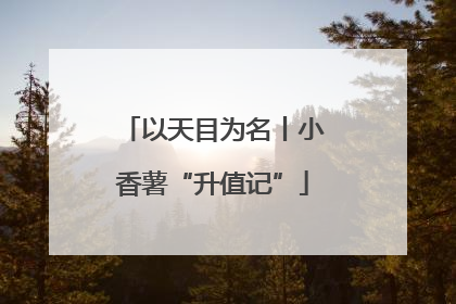 以天目为名丨小香薯“升值记”