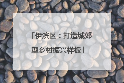 伊滨区：打造城郊型乡村振兴样板