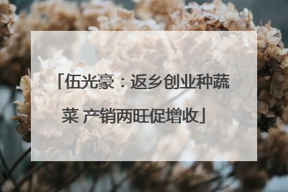 伍光豪：返乡创业种蔬菜 产销两旺促增收