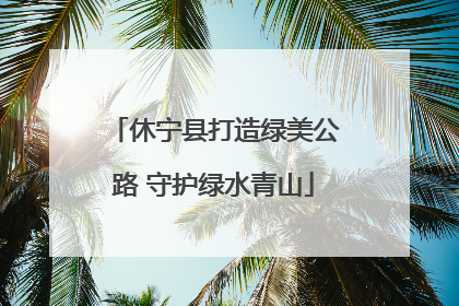 休宁县打造绿美公路 守护绿水青山