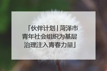 伙伴计划│菏泽市青年社会组织为基层治理注入青春力量