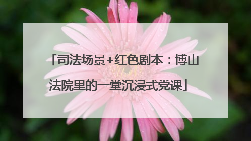 司法场景+红色剧本：博山法院里的一堂沉浸式党课