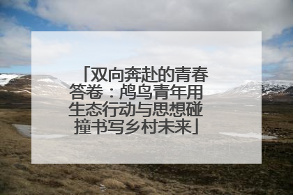 双向奔赴的青春答卷：鸬鸟青年用生态行动与思想碰撞书写乡村未来