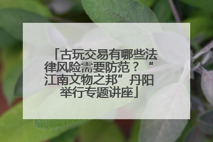 古玩交易有哪些法律风险需要防范？“江南文物之邦”丹阳举行专题讲座